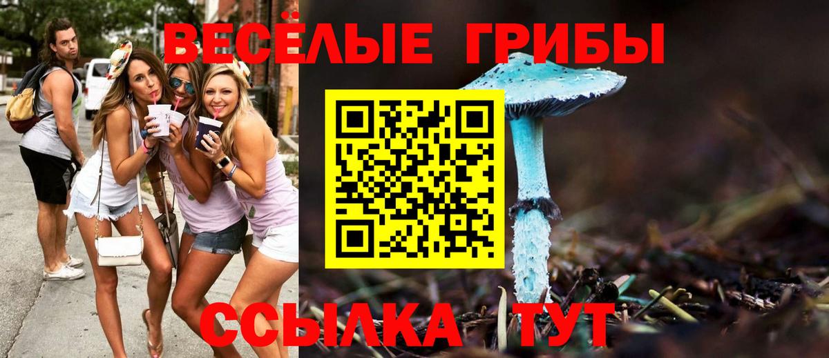 Псилоцибиновые грибы мицелий Чебоксары