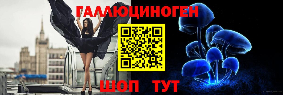 Чебоксары  Галлюциногенные грибы Magic Shrooms  Вход с VPN 